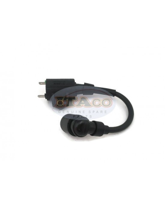 Boat Motor T3.6-04000300 Ignition Coil Assy for Parsun Makara Outboard T2.5 T3.6 HDX3.6 2-stroke Boat Motor T3.6-04000300 Ignition Coil Assy for Parsun Makara Outboard T2.5 T3.6 HDX3.6 2-stroke