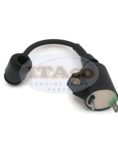 Boat Motor T3.6-04000300 Ignition Coil Assy for Parsun Makara Outboard T2.5 T3.6 HDX3.6 2-stroke