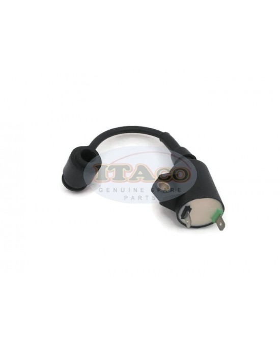 Boat Motor T3.6-04000300 Ignition Coil Assy for Parsun Makara Outboard T2.5 T3.6 HDX3.6 2-stroke Boat Motor T3.6-04000300 Ignition Coil Assy for Parsun Makara Outboard T2.5 T3.6 HDX3.6 2-stroke