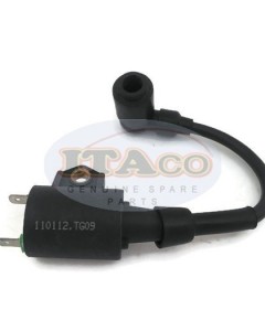 Boat Motor T3.6-04000300 Ignition Coil Assy for Parsun Makara Outboard T2.5 T3.6 HDX3.6 2-stroke
