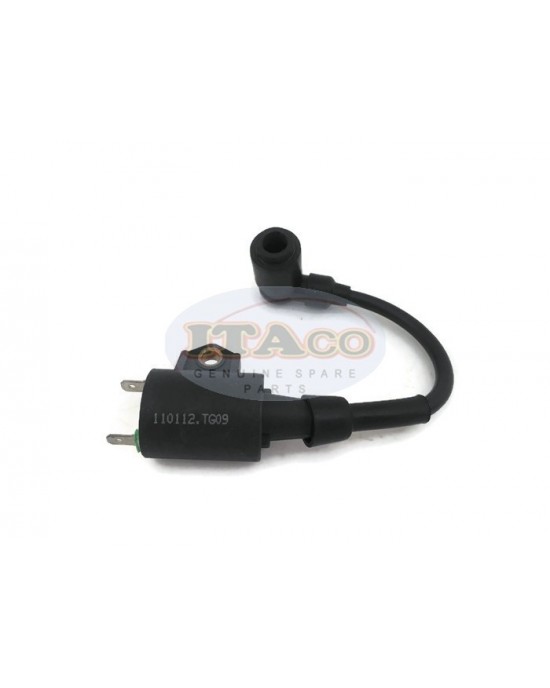 Boat Motor T3.6-04000300 Ignition Coil Assy for Parsun Makara Outboard T2.5 T3.6 HDX3.6 2-stroke Boat Motor T3.6-04000300 Ignition Coil Assy for Parsun Makara Outboard T2.5 T3.6 HDX3.6 2-stroke