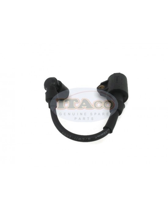 Boat Motor T3.6-04000300 Ignition Coil Assy for Parsun Makara Outboard T2.5 T3.6 HDX3.6 2-stroke Boat Motor T3.6-04000300 Ignition Coil Assy for Parsun Makara Outboard T2.5 T3.6 HDX3.6 2-stroke
