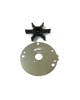 Boat Motor Outer Plate & Water Pump Impeller 689-44352 689-44323 00 01 02 for Yamaha Outboard 20HP 25HP 30HP 2/4 stroke Boat Engine Boat Motor Outer Plate & Water Pump Impeller 689-44352 689-44323 00 01 02 for Yamaha Outboard 20HP 25HP 30HP 2/4 stroke Boat Engine