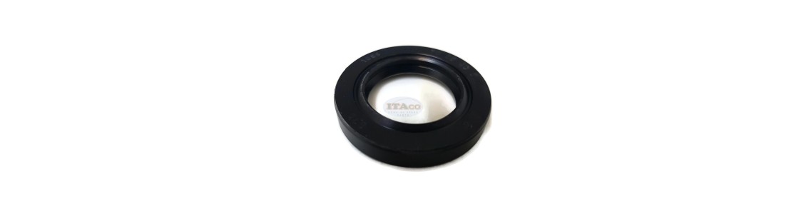 Oil Seal