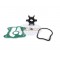Boat Outboard Motor Replace Honda Outboard Water Pump Impeller Service Kit 25 & 30 HP (BF25 & BF30) Replaces 06192-ZV7-000 Sierra 18-3281 Engine