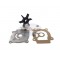 Boat Motor Water Pump Impeller Kit 17400-96353 96352 Suzuki Outboard DF DT 20-50HP Repair 2/4 stroke Engine