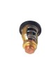 Boat Motor 67F-12411-01-00 6CB-12411 Thermostat 60C For Yamaha Outboard F 75 - 150 hp Sierra 18-3632 Waverunner Sterndrive Marine Boat Parts Boat Motor 67F-12411-01-00 6CB-12411 Thermostat 60C For Yamaha Outboard F 75 - 150 hp Sierra 18-3632 Waverunner Sterndrive Marine Boat Parts